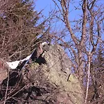 Apartament Familienferienhaus 